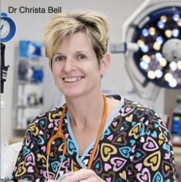 Dr Christa Bell emergency medicine conferences